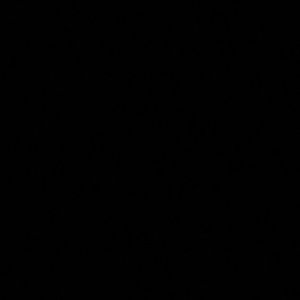 Meet your Posher, Leo